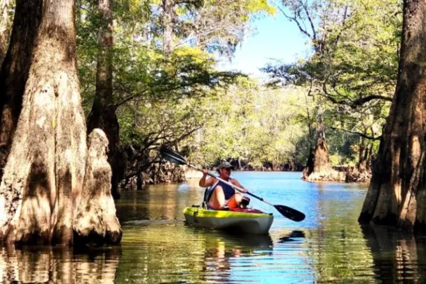 a man riding on the back of a boat next to a river