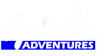 Epic Adventures, Hobie Kayak Swamp Tour